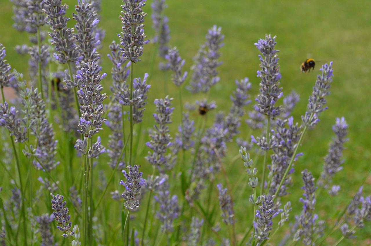 3. 蒸腾作用辅助