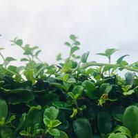 认识下储能界的巨头-正浩创新(Ecoflow) - 知乎