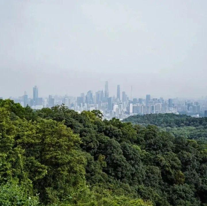 白云宝藏新盘 首个山景公交TOD 越秀公交·天悦云山府 - 知乎