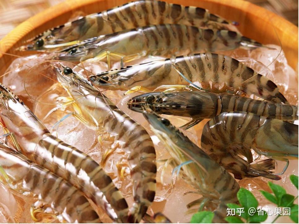 如何判断是河虾还是海虾? - 知乎