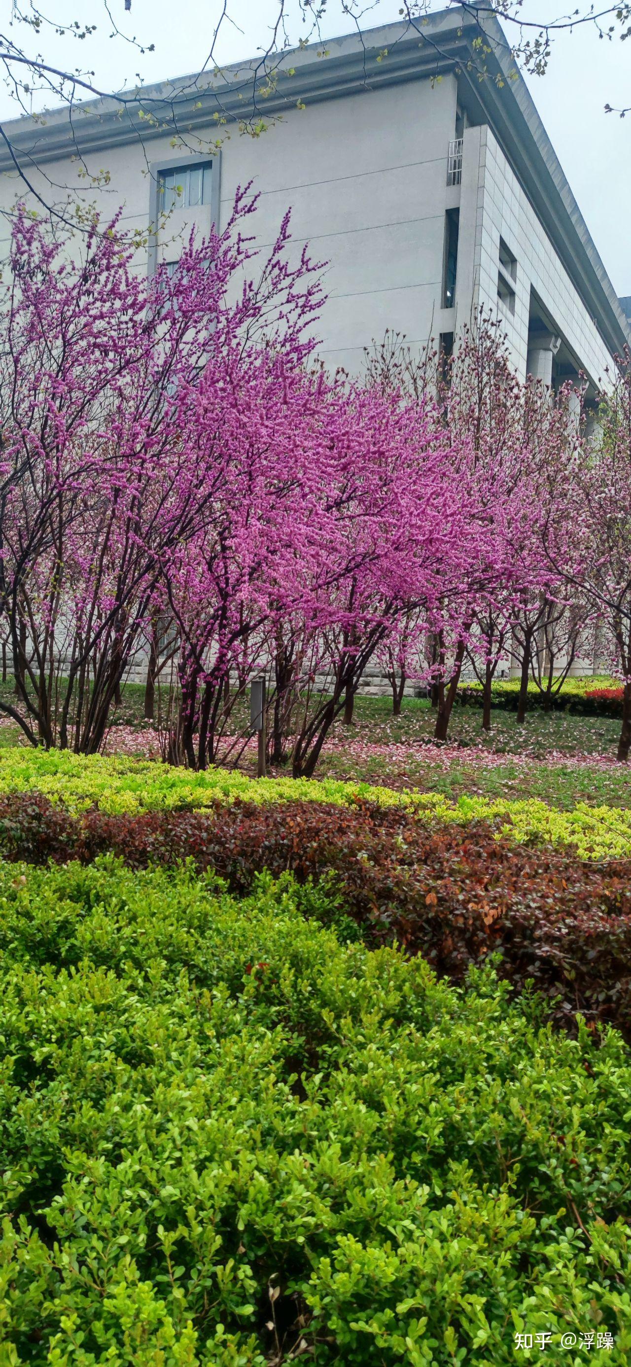 (2秒科普一下)云上黄淮-今日排名一览