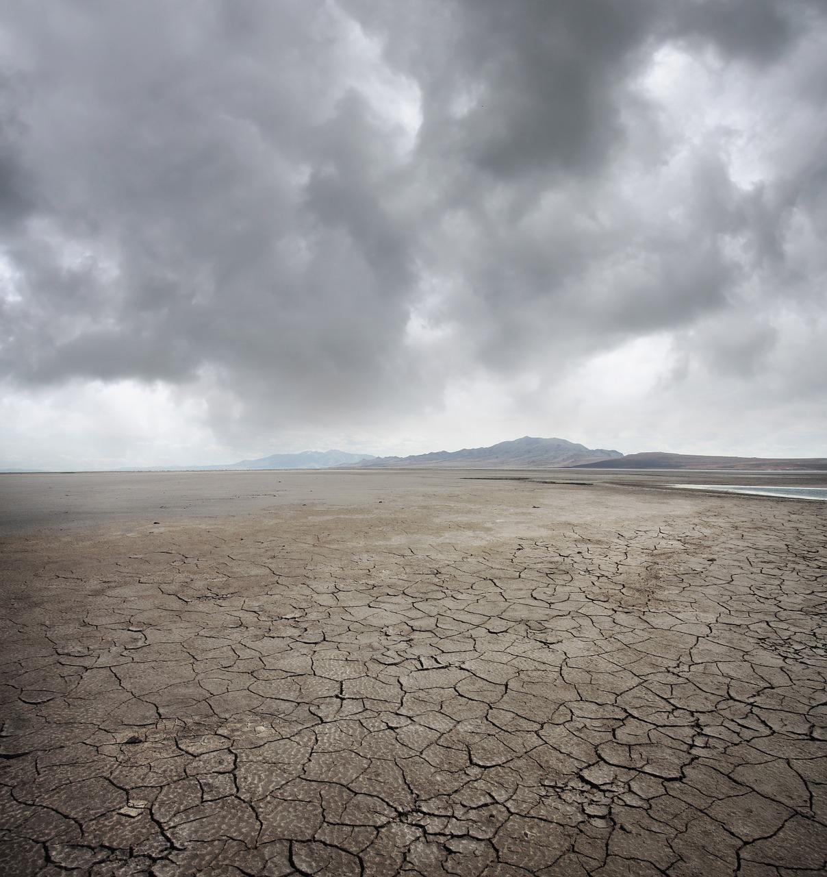 1. 夏日地表高温
