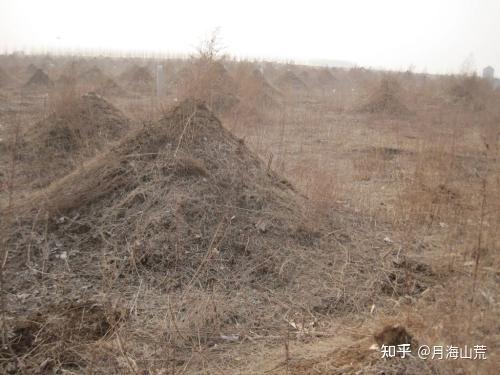 山海经研究***杂项考***息壤是什么 - 知乎