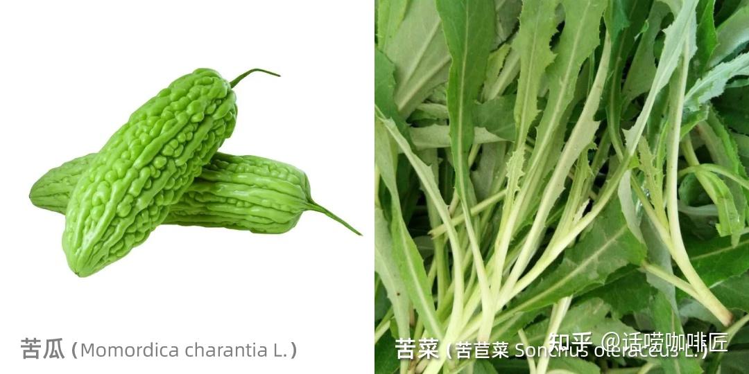 导致咖啡苦的原因有哪些？ - 知乎