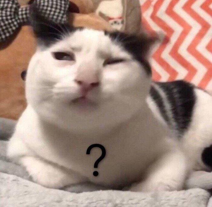 人工智能还是人工智障