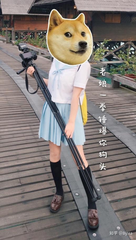 hanser长什么样子?