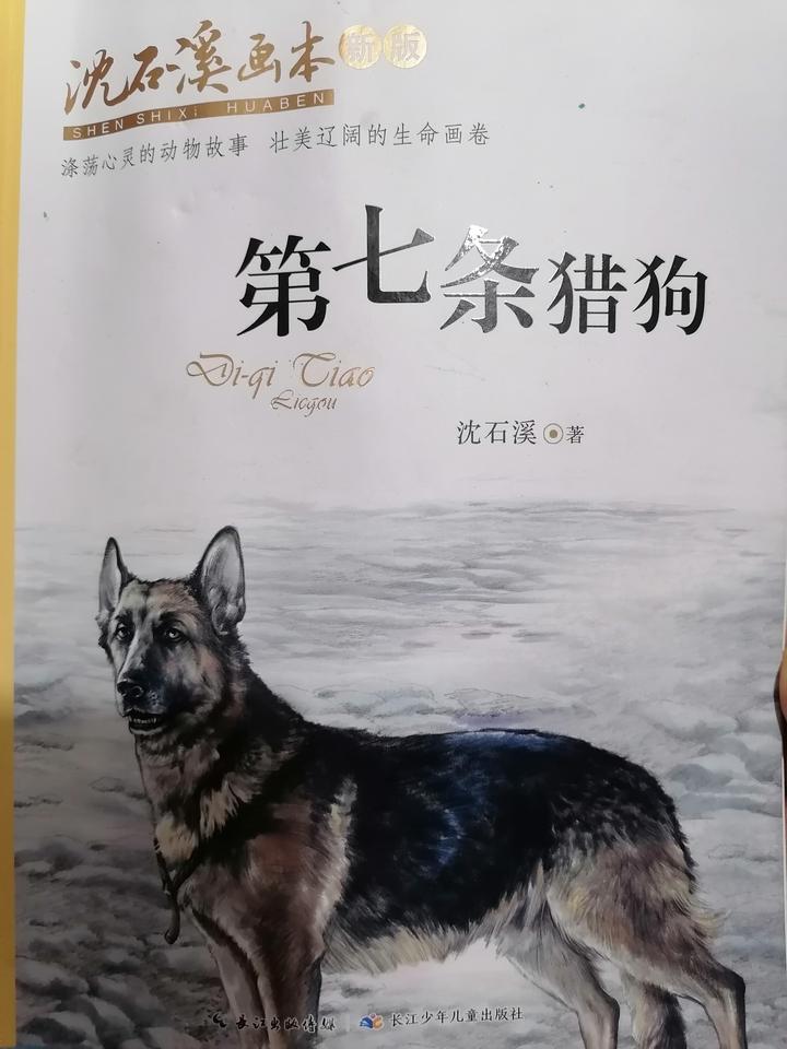 第七条猎狗【连载】