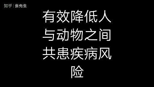 2021年全国两会网友们最关心狗患城市禁狗令是主流民意