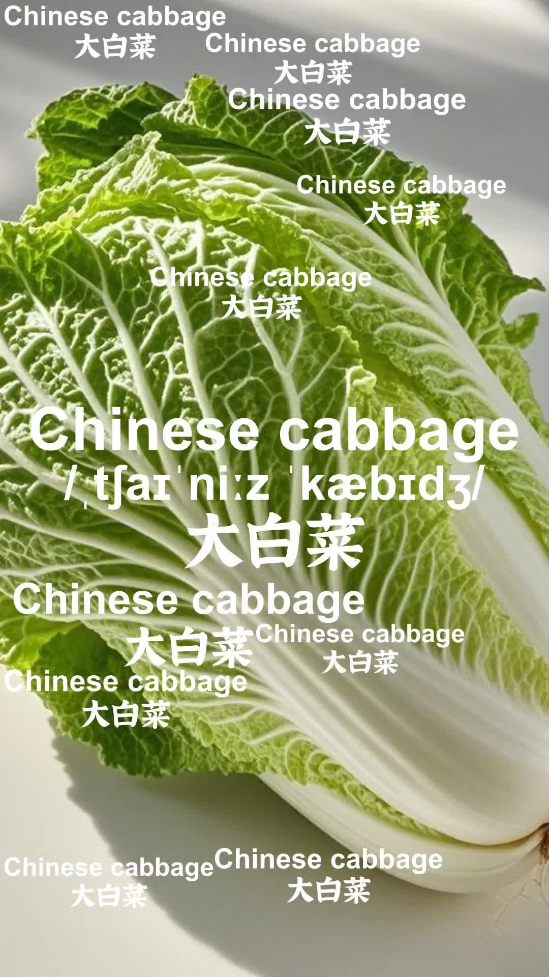 10秒记单词大白菜chinesecabbage