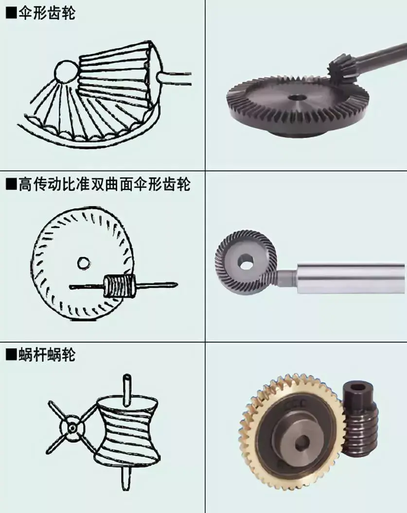 齿轮