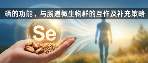 硒蛋白P(selenoprotein P，SEPP1) - 知乎