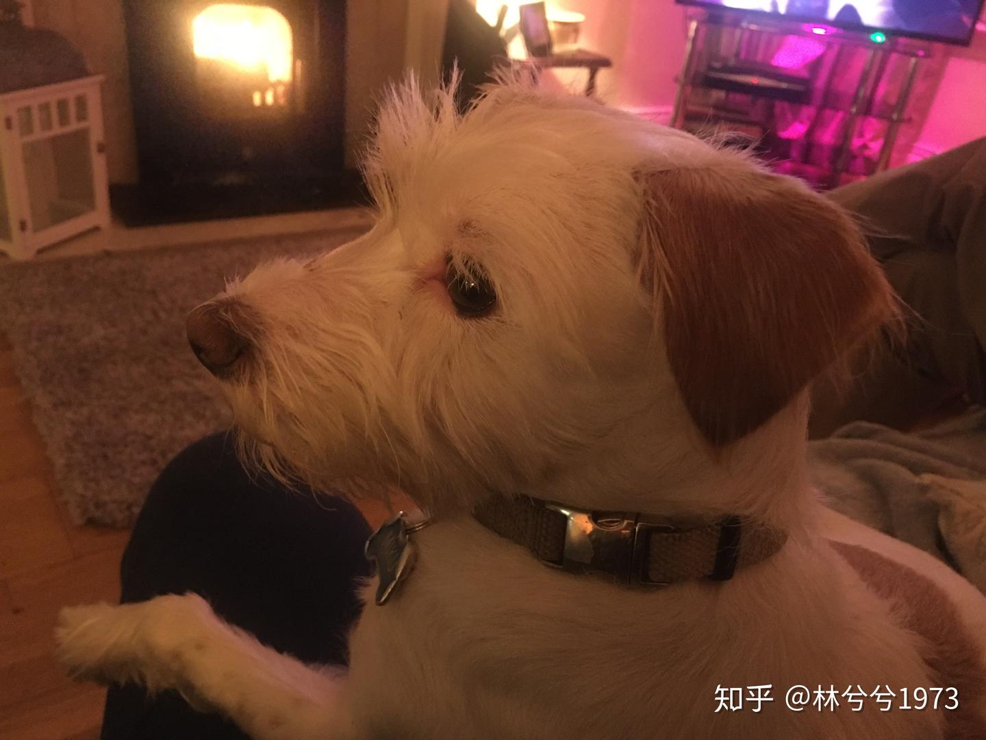 爱尔兰留学申请DIY网申攻略- 知乎