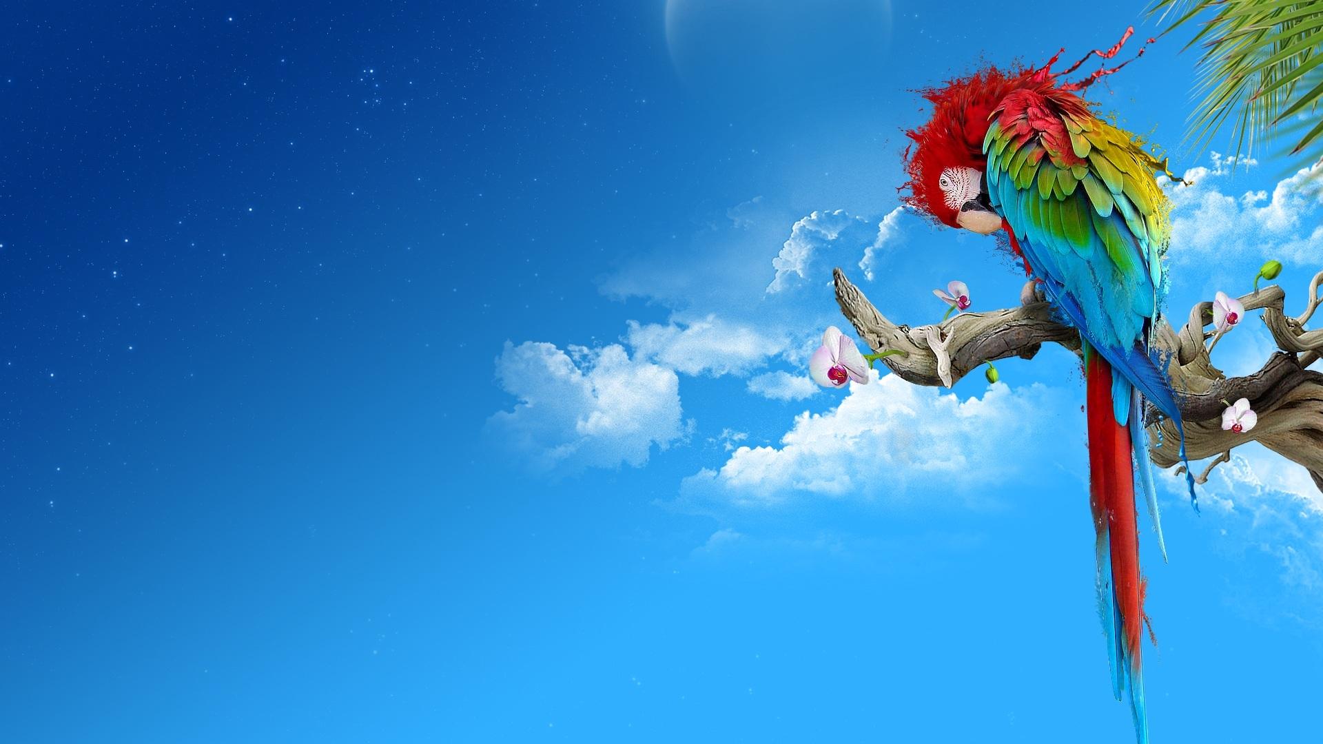 有哪些好看到爆炸的蓝色系壁纸?