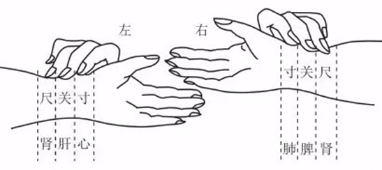 为什么古代中医把把脉就知道是什么病,这个的原理是什么?