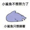 Zhihu profile picture for @romeo