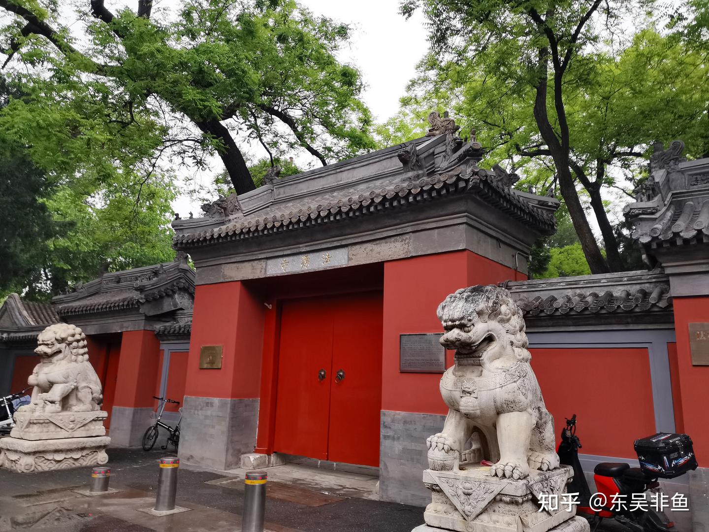 年年绽放，岁岁守望——《北京法源寺》 - 知乎