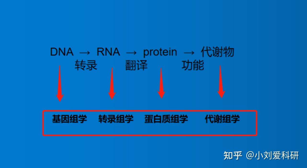 基因组学、转录组学、蛋白组学、代谢组学——多组学联合应用你知道多少? - 知乎