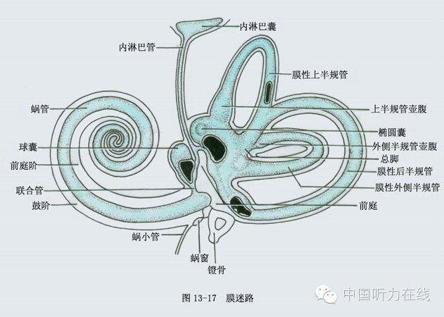 大前庭导水管扩张为什么不能把导水管缩小一些呢?