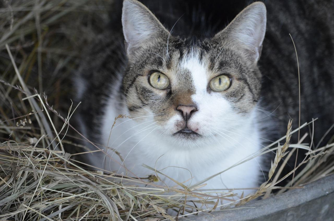 床上有满虫怎么办