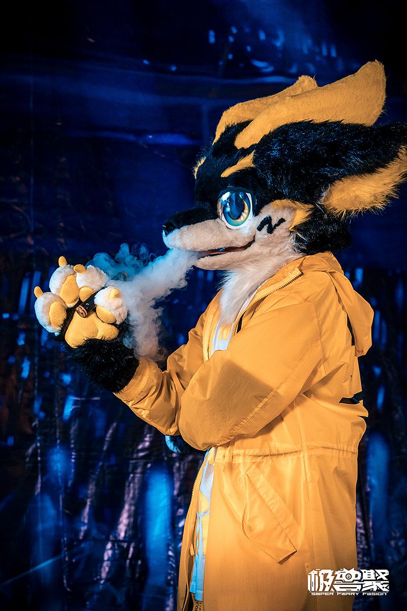 上海729极兽聚都有哪些兽