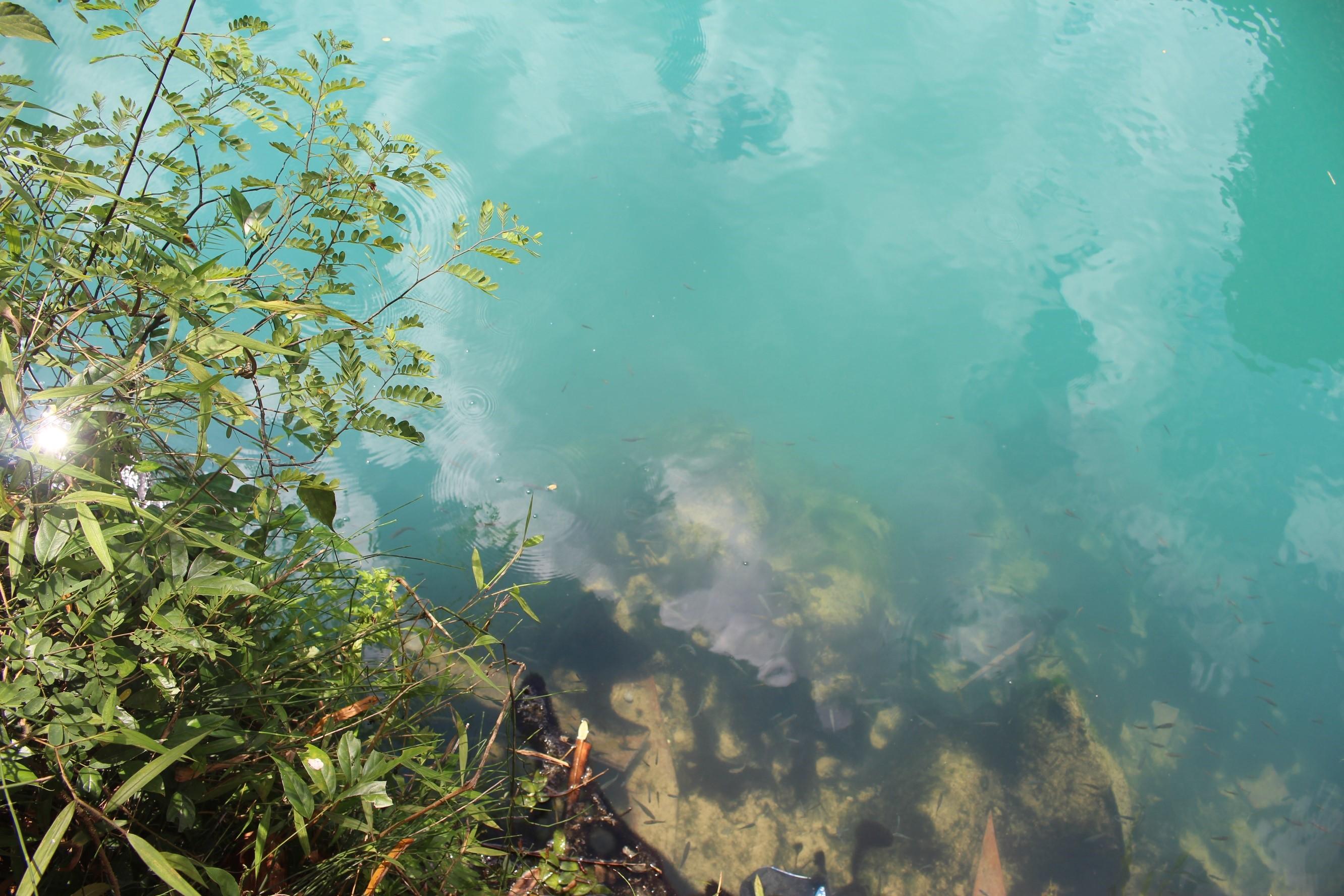 去贵州玩,有什么好的旅游攻略?-去贵州旅游怎么玩?看别人在贵州5天4晚亲自体验(图文)