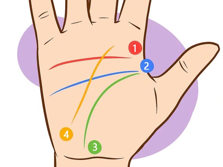 手相 解读感情线 知乎