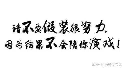 谁能解释一下到底什么叫假努力