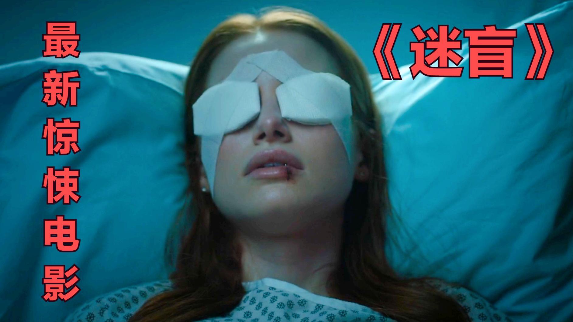 迷盲堪称惊悚版楚门的世界偏执和占有欲细思极恐