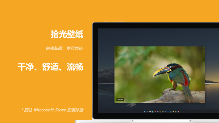 拾光壁纸:干净、舒适、流畅的Windows壁纸软件 - 知乎