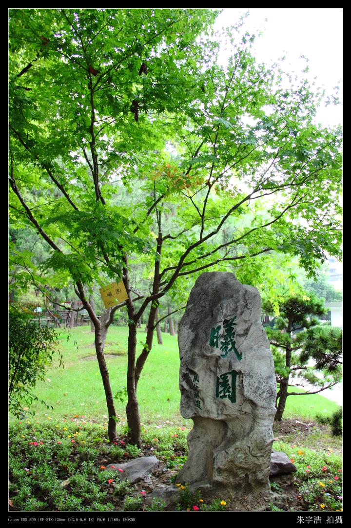 上海话简明教程——基本概念 - 知乎