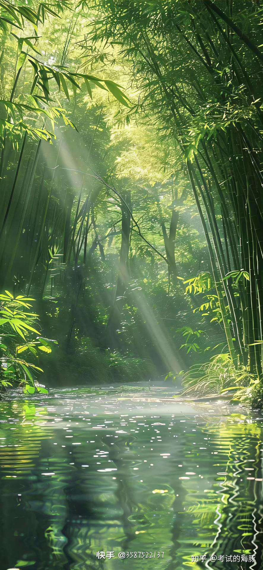 可不可以分享一张你相册里面的风景照吗