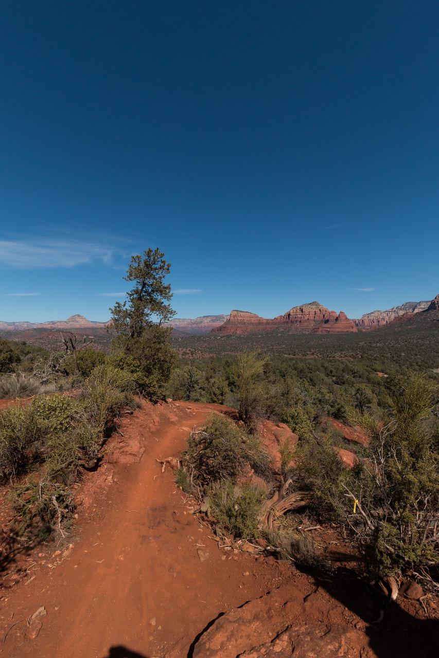 户型南北通透好