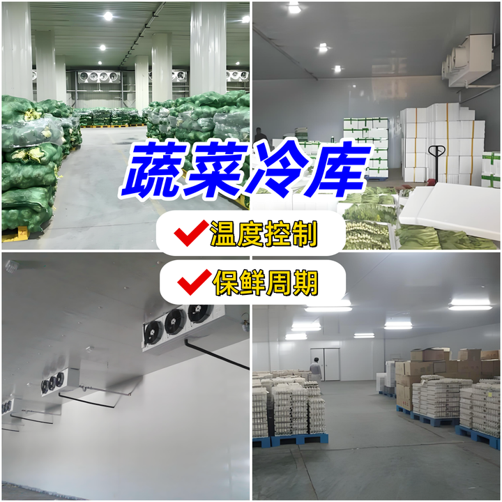 不同蔬菜保鲜温度及储存周期有何差异?冷库温度调控的关键要点解析 - 知乎