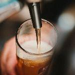 酿酒发酵过程中，除了酵母，还有哪些微生物在偷偷发挥作用？