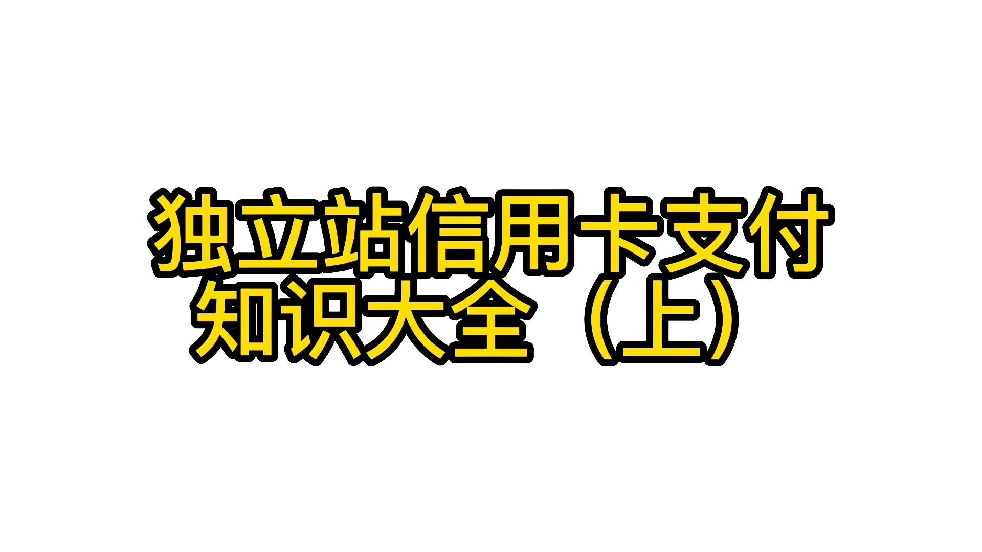 独立站支付核心攻略：从零搭建安全高效的多币种支付通道 (独立站支付核酸怎么查)-初仟社区