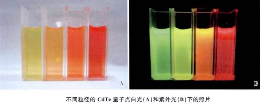 水溶性cdtecds量子点碲化镉硫化镉