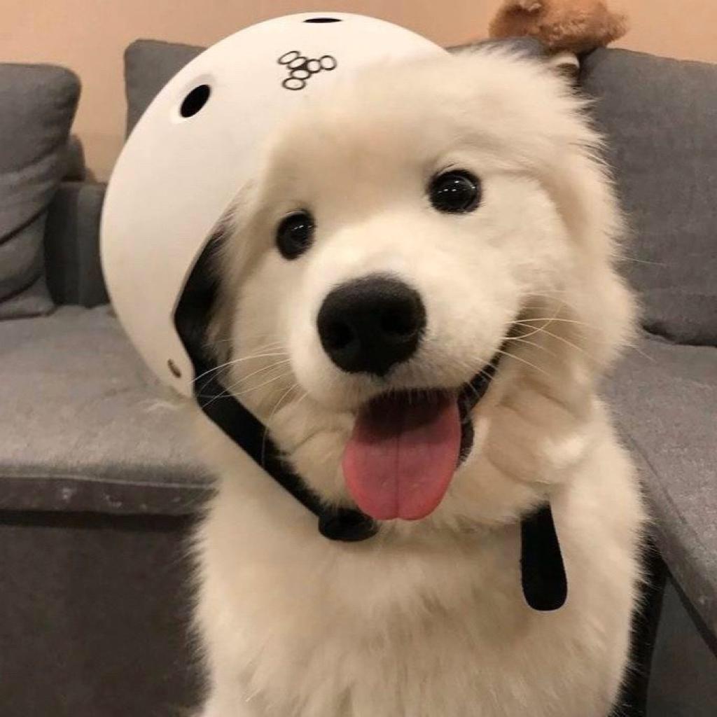 有没有什么惊艳的微信头像?-特别惊艳到人的微信头像