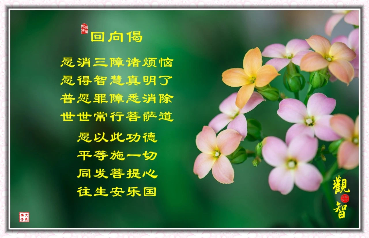 一个算得很准的先生说我命不好,我应该挣扎挣扎还是直接躺平呀?