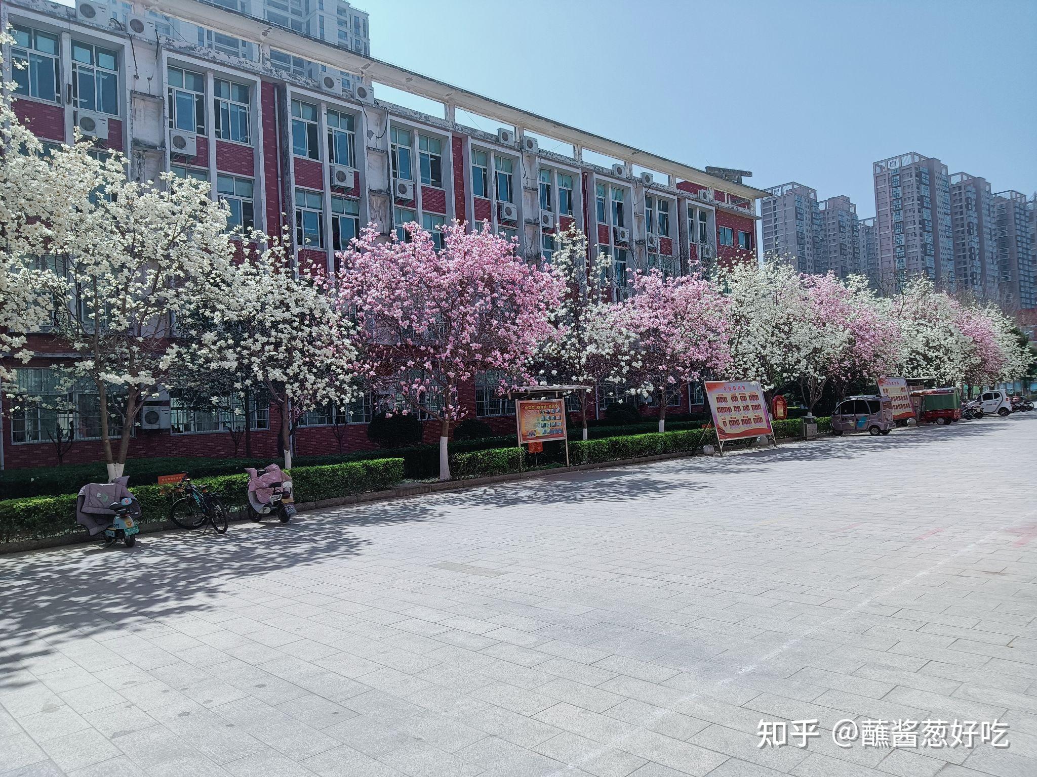 在漯河高中就读是一种怎样的体验?
