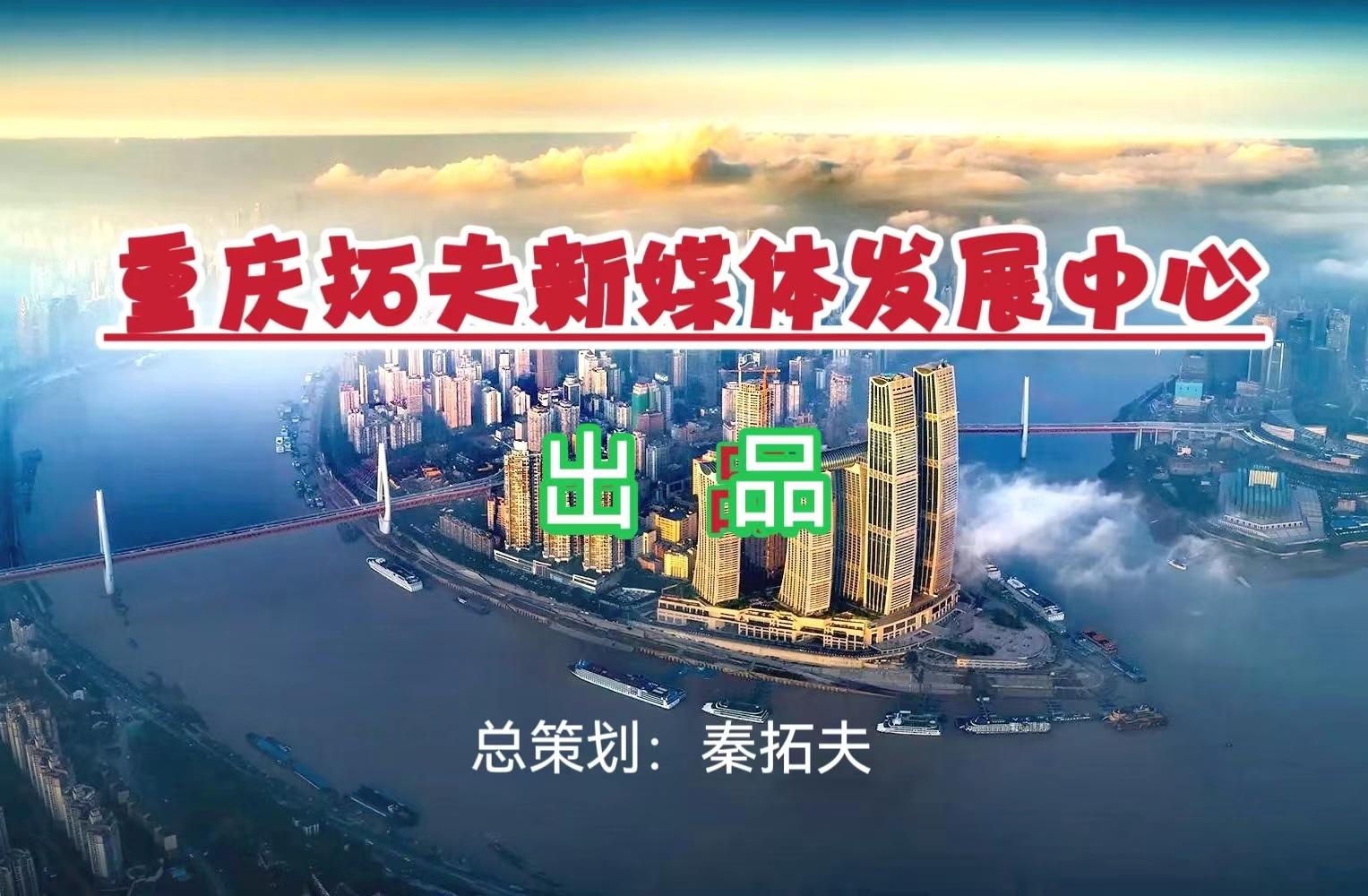 如何看待上海打狗队打击野狗? - 知乎