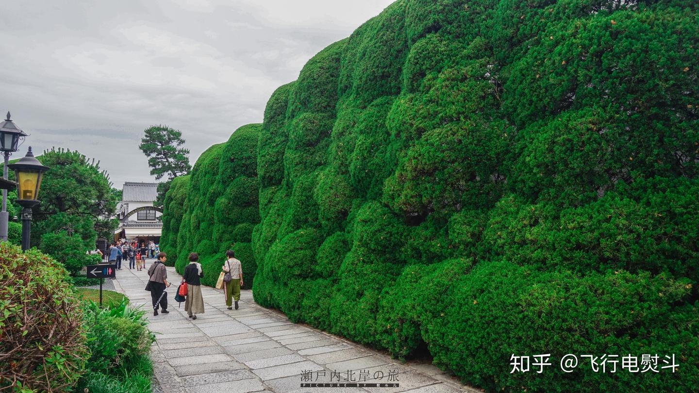 这些年我走过的日本100城-No.85：仓敷 - 知乎