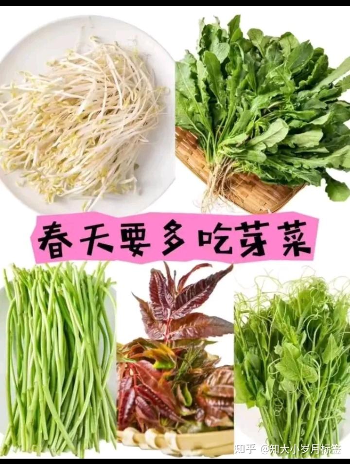 食补和药补哪个对身体更好? - 知乎