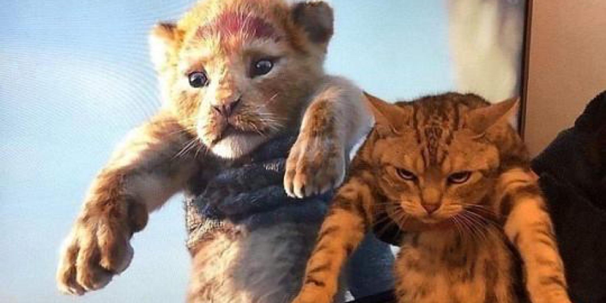 Zhihu banner for @unbreakable