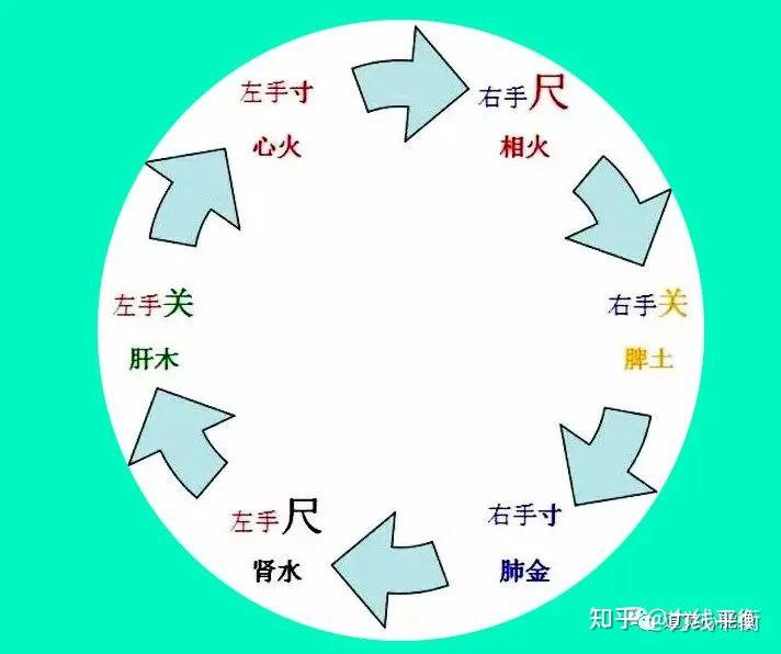 图解脉象｜五步思辨切脉法，及28脉脉象脉歌动态图解 - 知乎