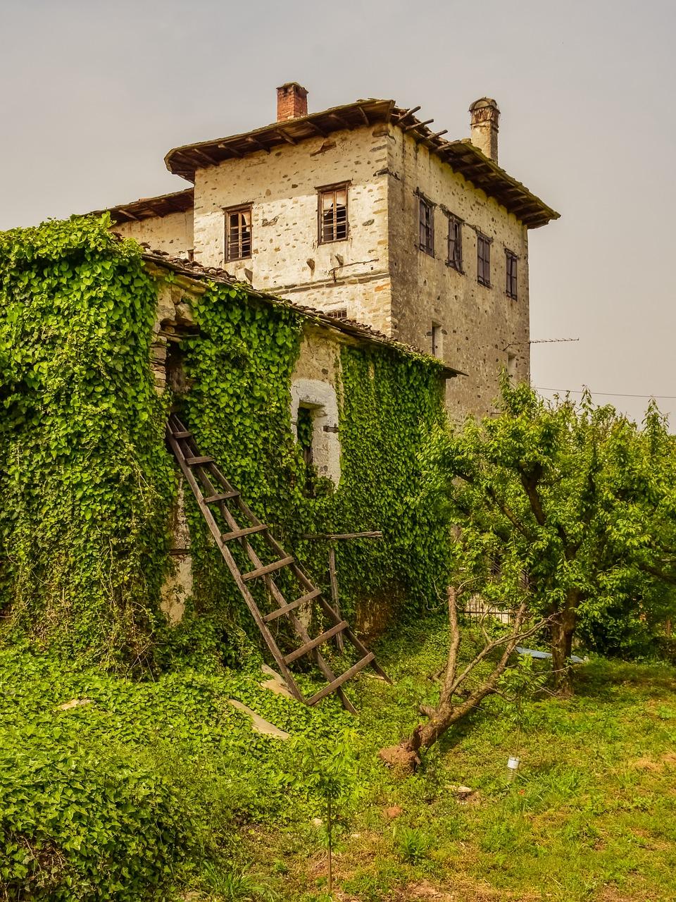 平房补漏都用什么材料