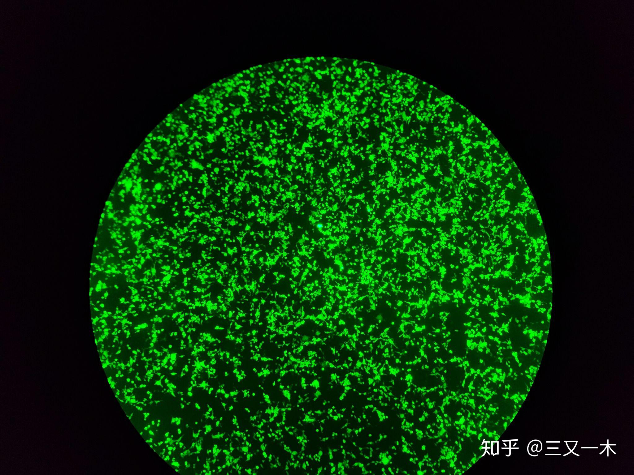 2020年最能代表你的一张照片是什么