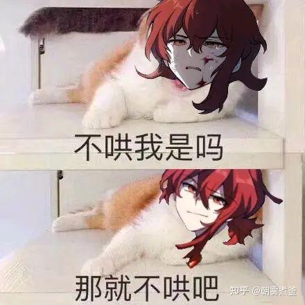 想要迪卢克的表情包? - 知乎