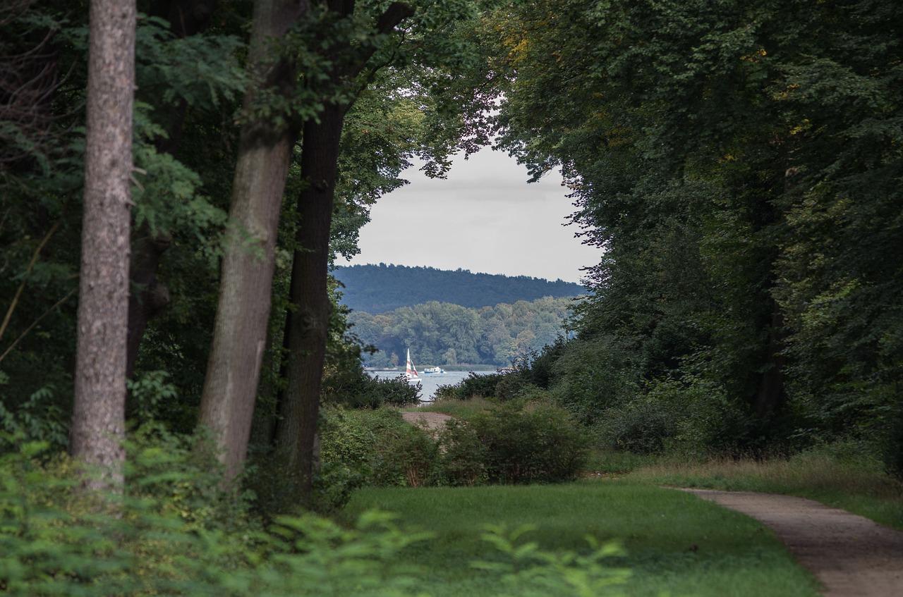 公园小区房价走势