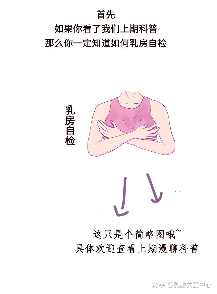 终于明白了乳沟的进化史。看了此文,再看乳沟,真的一点罪过也没有了吗??? - 知乎