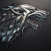 Zhihu profile picture for @athena